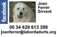 Joan Ferrer
